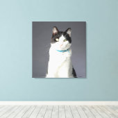 Zwarte en witte kat canvas afdruk (Insitu (Houten vloer))