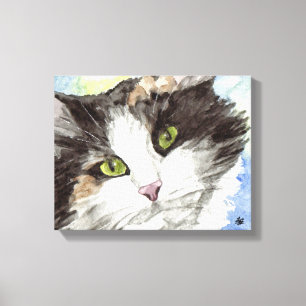 Zwarte en witte kat canvas afdruk