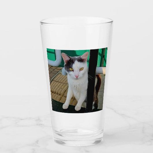 Zwarte en witte kat glas (Voorkant)