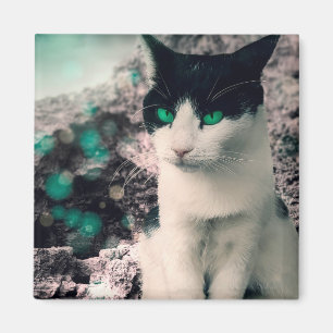 Zwarte en witte kat groene ogen zitten bij het zie magneet