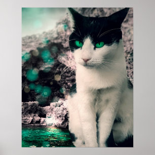 Zwarte en witte kat groene ogen zitten bij het zie poster