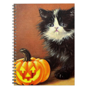 Zwarte en witte kat Halloween Kitten uit de oude d Notitieboek