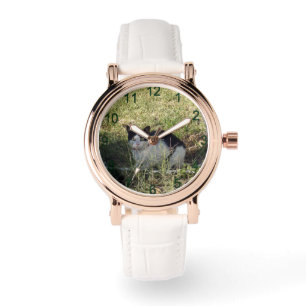 Zwarte en witte kat in de tuin, horloge