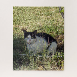 Zwarte en witte kat in de tuin, legpuzzel