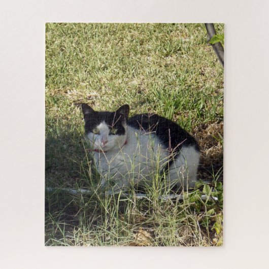 Zwarte en witte kat in de tuin, legpuzzel (Verticaal)