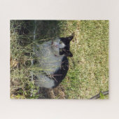Zwarte en witte kat in de tuin, legpuzzel (Horizontaal)