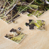 Zwarte en witte kat in de tuin, legpuzzel (Zijkant)