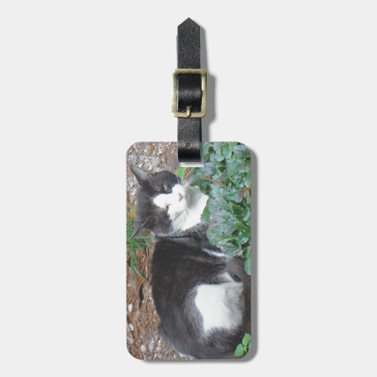 Zwarte en witte kat in groen bagagelabel (Voorkant verticaal)