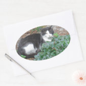 Zwarte en witte kat in groen ovale sticker (Envelop)