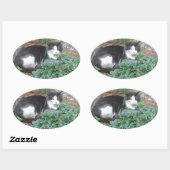 Zwarte en witte kat in groen ovale sticker (Vel)