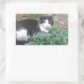 Zwarte en witte kat in groen rechthoekige sticker (Tas)