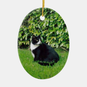 Zwarte en witte kat keramisch ornament