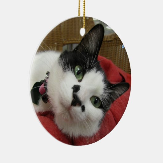 Zwarte en witte kat keramisch ornament (Rechts)