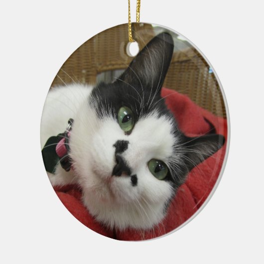 Zwarte en witte kat keramisch ornament (Links)