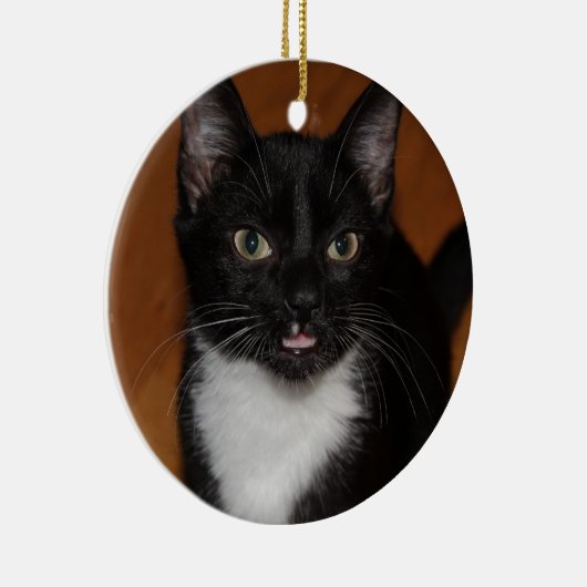 ZWARTE EN WITTE KAT KERAMISCH ORNAMENT (Rechts)