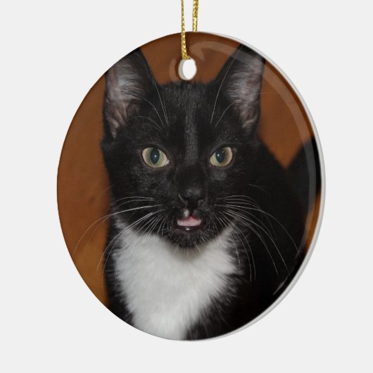 ZWARTE EN WITTE KAT KERAMISCH ORNAMENT (Links)