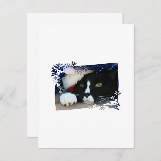 Zwarte en witte kat, kersthoed, tinsel en een poot feestdagenkaart (Voorkant / Achterkant)