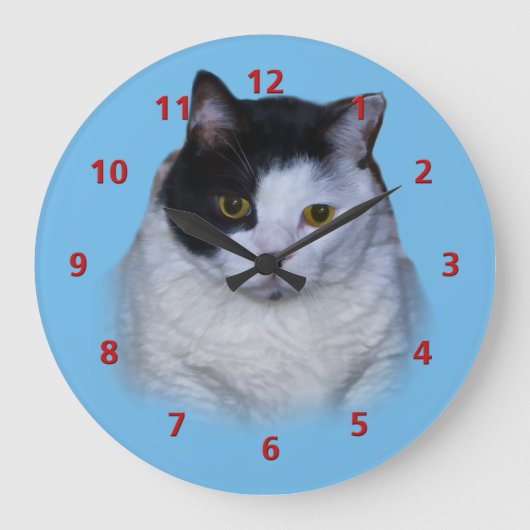 Zwarte en witte kat, klok (Voorkant)