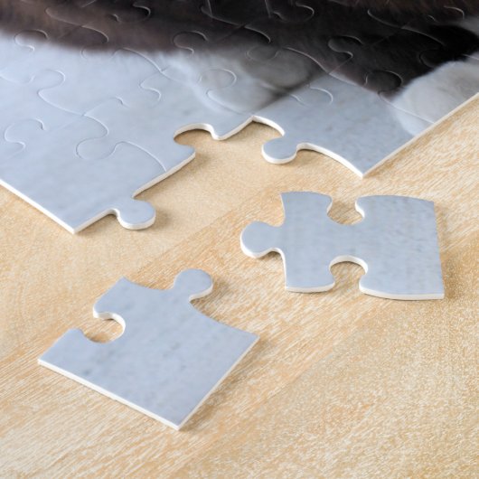 Zwarte en witte kat legpuzzel (Zijkant)