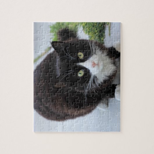 Zwarte en witte kat legpuzzel (Verticaal)