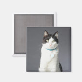 Zwarte en witte kat magneet (Voorkant / Achterkant)
