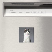 Zwarte en witte kat magneet (Insitu (Vaatwasser))