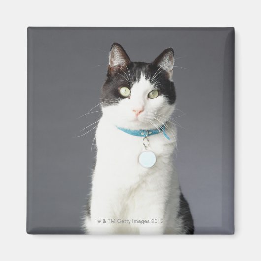 Zwarte en witte kat magneet (Voorkant)