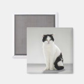 Zwarte en witte kat met gloeiende groene ogen magneet (Voorkant / Achterkant)