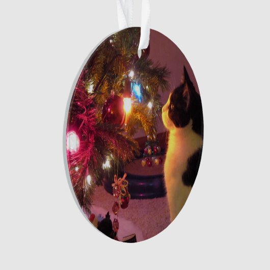 Zwarte en witte kat met kerstboomversiering ornament (voorkant)