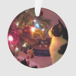 Zwarte en witte kat met kerstboomversiering ornament