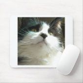 Zwarte en witte kat muismat (Met muis)