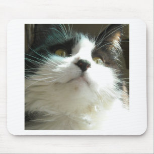 Zwarte en witte kat muismat