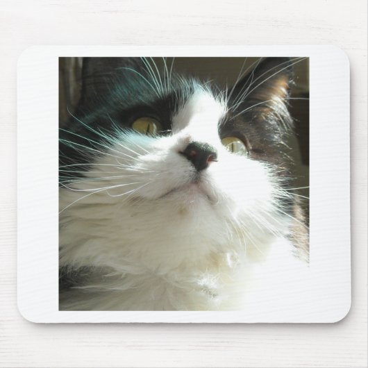 Zwarte en witte kat muismat (Voorkant)