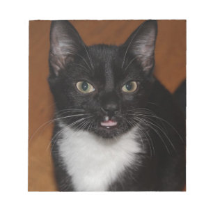 ZWARTE EN WITTE KAT NOTITIEBLOK