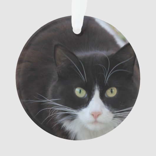 Zwarte en witte kat ornament (voorkant)