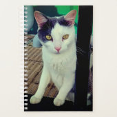 Zwarte en witte kat planner (Voorkant)