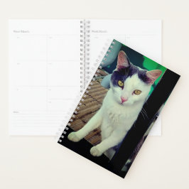 Zwarte en witte kat planner