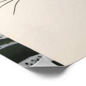 Zwarte en witte kat poster (Hoek)