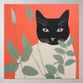 Zwarte en witte kat poster (Voorkant)