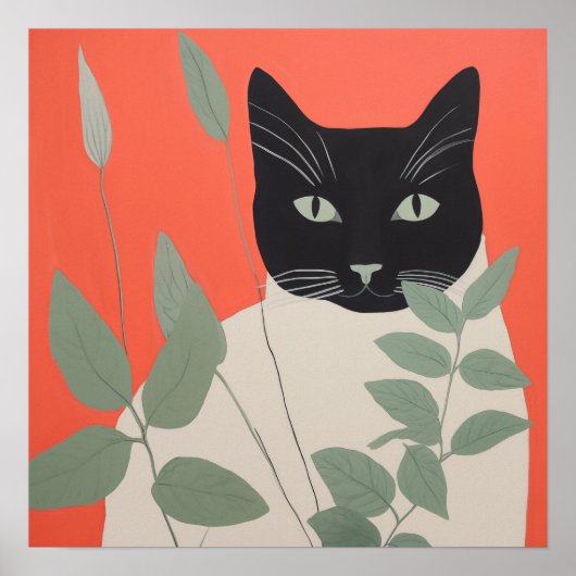 Zwarte en witte kat poster (Voorkant)