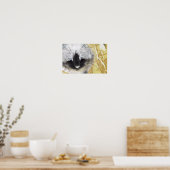 Zwarte en witte kat poster (Keuken)