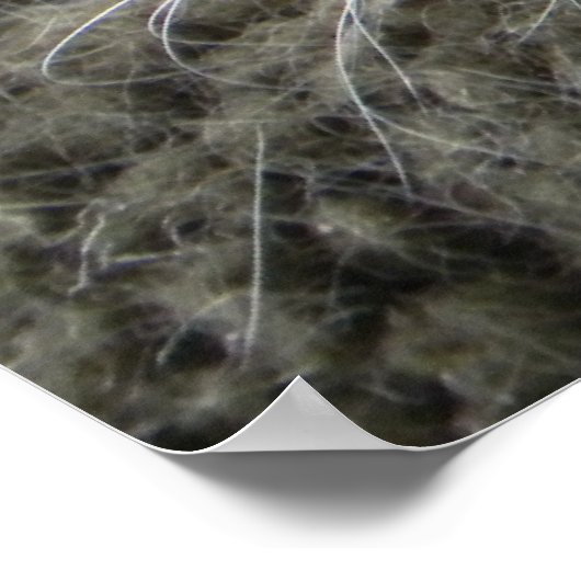 Zwarte en witte kat poster (Hoek)