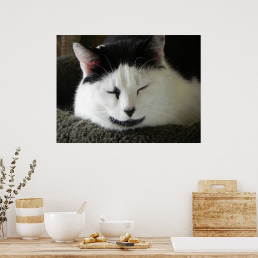 Zwarte en witte kat poster (Keuken)