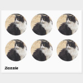 zwarte en witte kat ronde sticker (Vel)