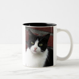 zwarte en witte kat tweekleurige koffiemok