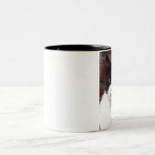 zwarte en witte kat tweekleurige koffiemok (Center)