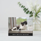 Zwarte en witte kat Verjaardag Briefkaart (Staand voorkant)