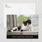 Zwarte en witte kat Verjaardag Briefkaart (Voorkant / Achterkant)