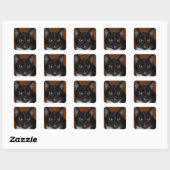 ZWARTE EN WITTE KAT VIERKANTE STICKER (Vel)