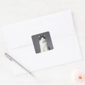 Zwarte en witte kat vierkante sticker (Envelop)